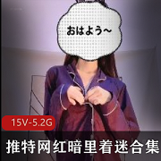 Twitter成熟网红《暗里着迷》合集