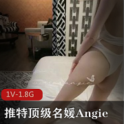 推特顶级身材美腿名媛(Angie)因琐事叫上闺蜜与两名男子互殴事件