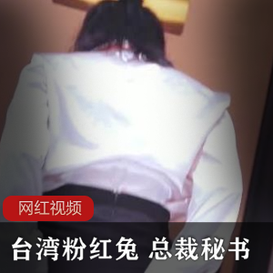 台湾粉红兔作品