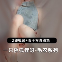 桃狐狸灰色毛衣系列