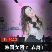 韩国女团T~衣舞舞蹈大片,1V-10.2G完整版,14位女主抖N子S舞震撼表演