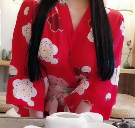 私人玩物旗袍