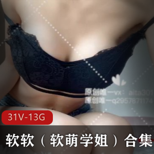 软软:31V,13.8G资源合集,满足你的需求