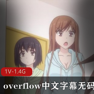 《overflow》完整版动画片44分钟，中文字幕，无圣光，家庭乱来剧，青梅竹马，无保护进入版，岛国制作，下载观看