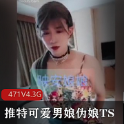 推特男娘孟佳TS精品视频合集471V-4.3G国内资源下载观看