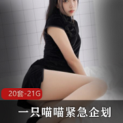 高颜值御用姬喵喵梓紧急企划视频合集，清纯JK御姐风格全覆盖，总共21.1G！