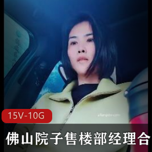 佛山院子售楼部经理合集(15V10G)