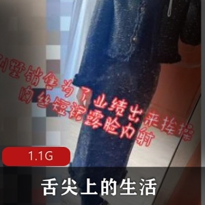 探秘合集+某推+悦耳动听+久妖美术老师+视频数量不详+1.1G+包含舌尖上的生活等佳作