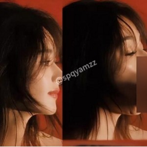 怼脸特写苏瑶明星视频34部微博89MB内部资源