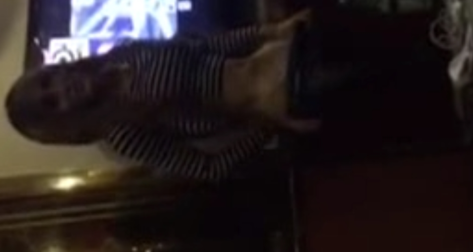 独家李露TS伪娘合集66部111G风韵十足