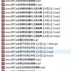 让人把持不住的同人音声馆妈妈桑的温柔课堂母系音声合集594部29.1G