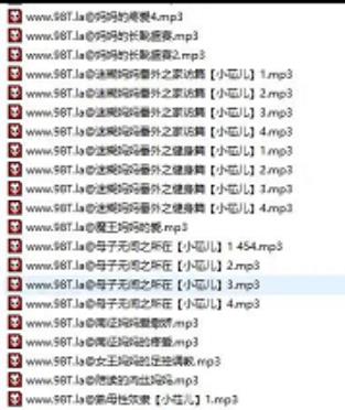 让人把持不住的同人音声馆妈妈桑的温柔课堂母系音声合集594部29.1G