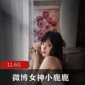 微博小鹿鹿shika彼女无圣光视频合集88部11.6G太诱惑